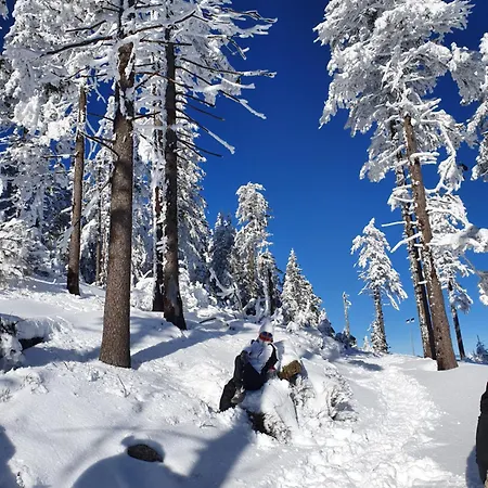 Czarna Góra 319 Apartamento *