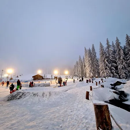 Lejlighed Czarna Gora 319 *