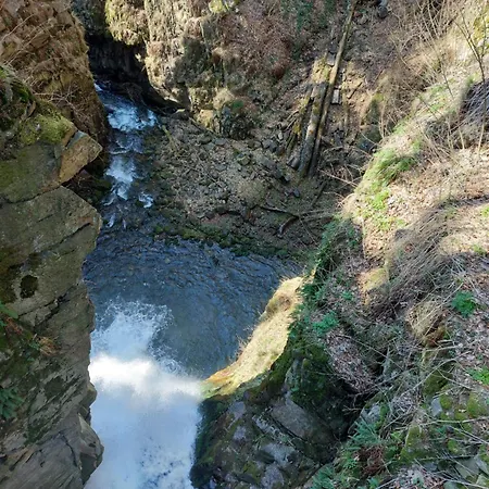 Czarna Gora 319