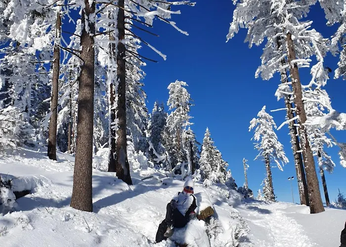 Czarna Gora 319 Appartement *