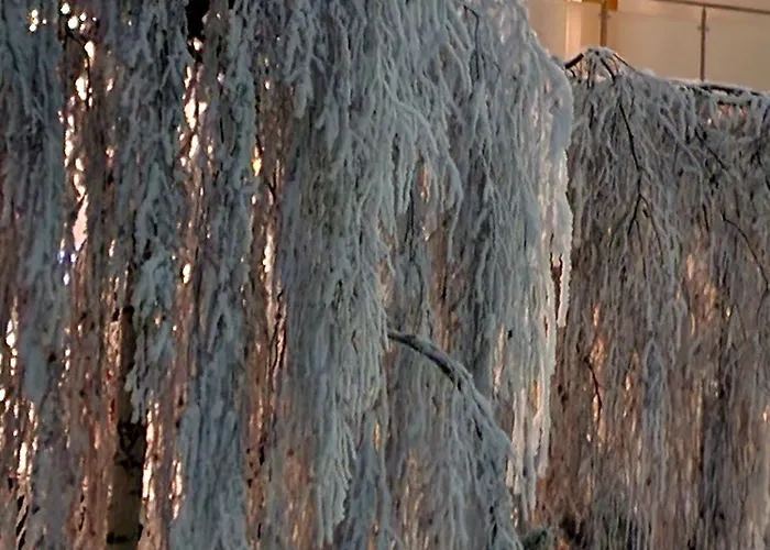 Czarna Gora 319 Apartmán