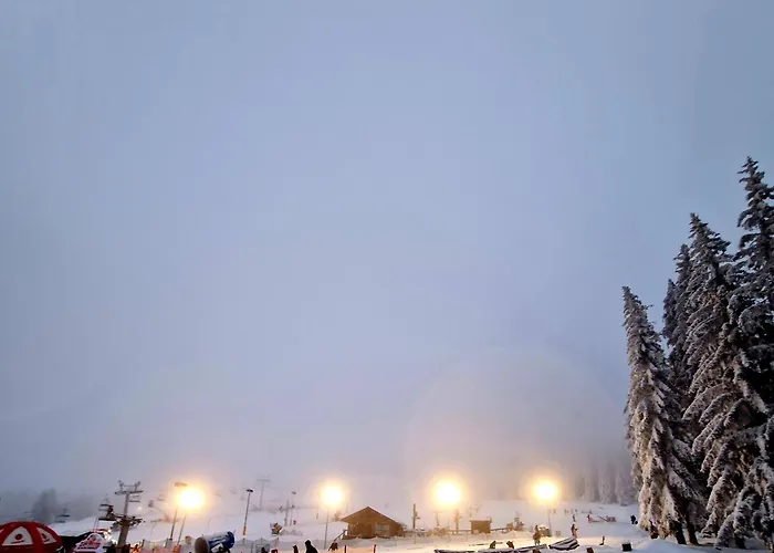 Apartmán Czarna Gora 319