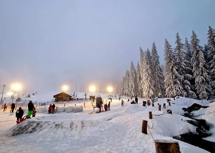 Apartmán Czarna Gora 319 *