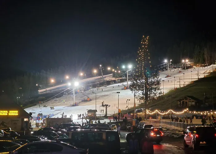 Apartmán Czarna Gora 319